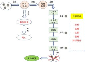 加强特医食品研发和应用 助力新冠肺炎疫情科学防控