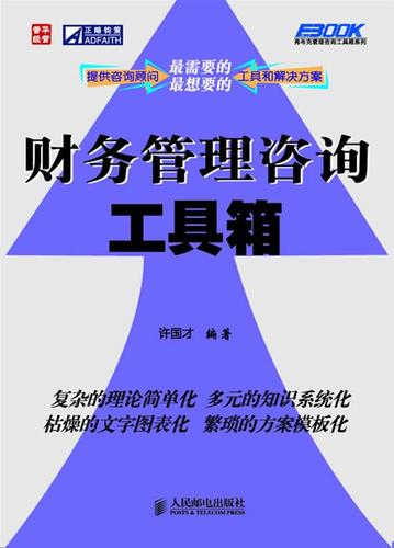 财务管理咨询工具箱 许国才著【正版】