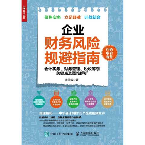企业财务风险规避指南 会计实务 财务管理 税收筹划关键点及疑难解析 书籍
