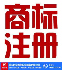 代理记账财务公司 向企而创 在线咨询 渝中代理记账