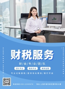 财税咨询相关: