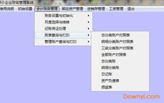 中小企业财务管理软件下载 中小企业财务管理系统下载v9.12 免费版 当易网