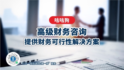 高级财务咨询